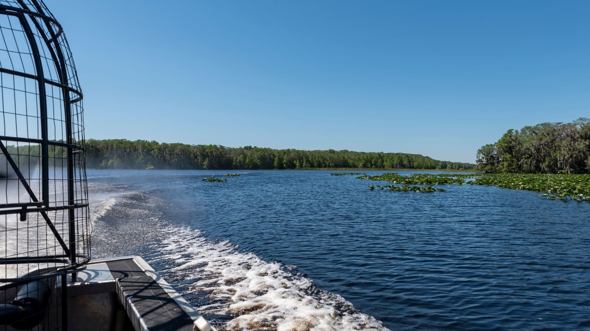 Boat ride through scenic river with lush green forest and water lilies