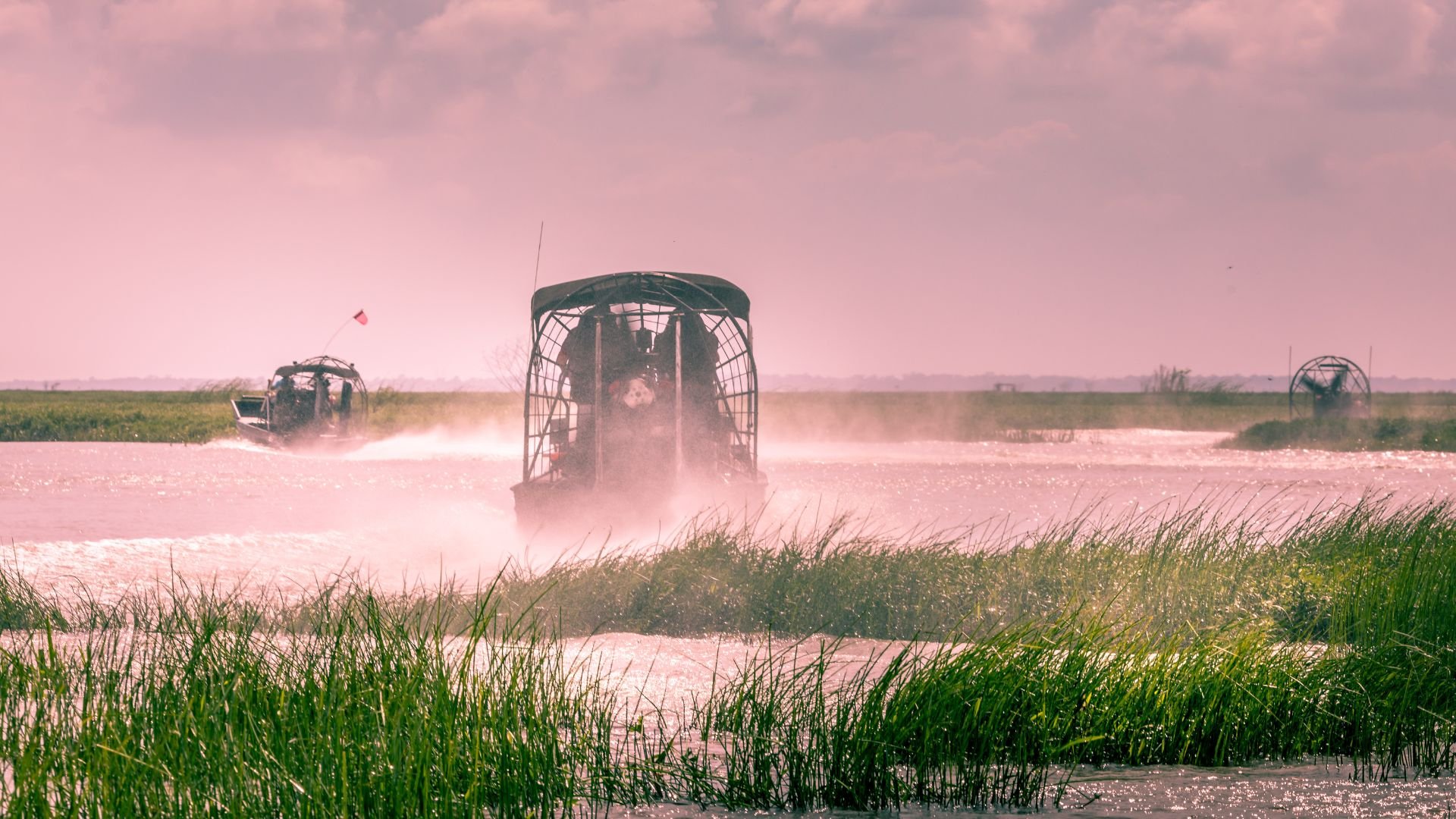 Airboats gliding through misty pink wetlands with green grass